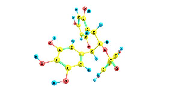 istock Epigallocatechin gallate molecular structure isolated on white 1316049278