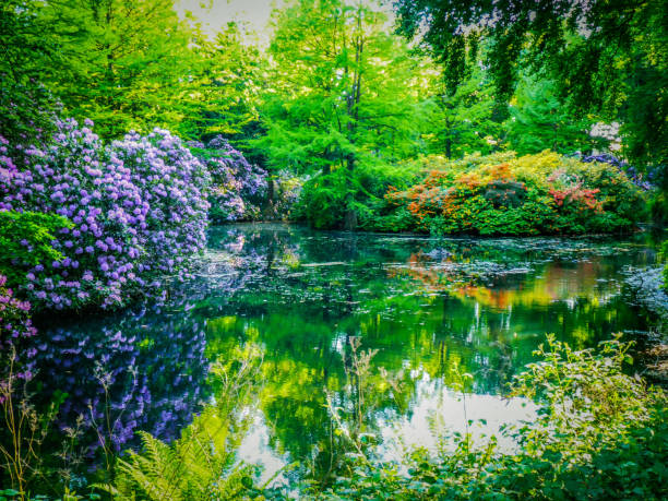 Blooming park scenery in spring