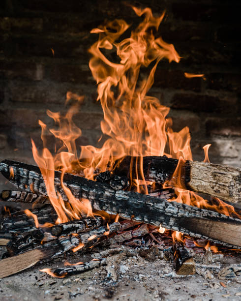 istock Fire burning in the fireplace for the meat grill 1316054272