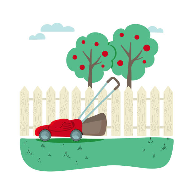 illustrazioni stock, clip art, cartoni animati e icone di tendenza di tosaerba negli attrezzi da giardino del giardino. illustrazione vettoriale del servizio di falciatura del prato. - rotary mower illustrations