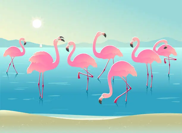 Vector illustration of Flamingos on a beach