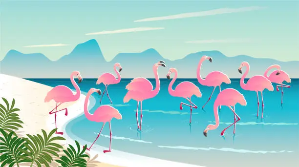 Vector illustration of Group of pink flamingos on a beach