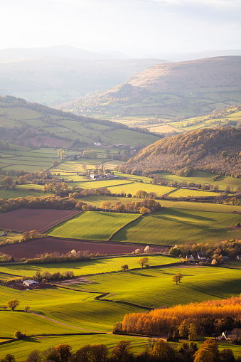 Aerial view of beautiful countryside with green rolling field in golden hour before sunset
