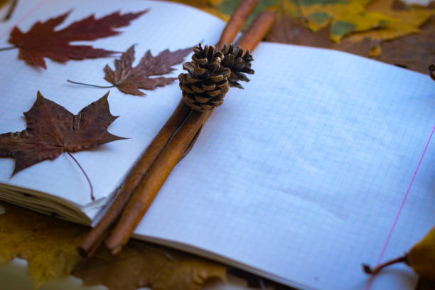 istock The autumn theme is back to school. The yellowed leaves lie on a notebook. 1316061063