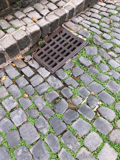 istock Cobblestone Street with Sidewalk 1316061933