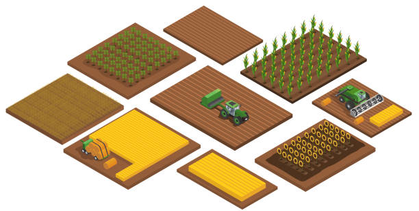 Agriculture automatic guided robots harvest. Agriculture automatic guided robots harvest. 3d view. Flat abstract metaphor outline cartoon vector illustration concept design. Simple art isolated on white background farm stock illustrations