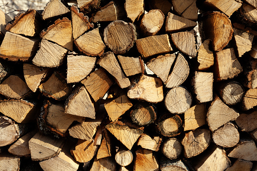 Close-up of cut firewood stacked on farm.