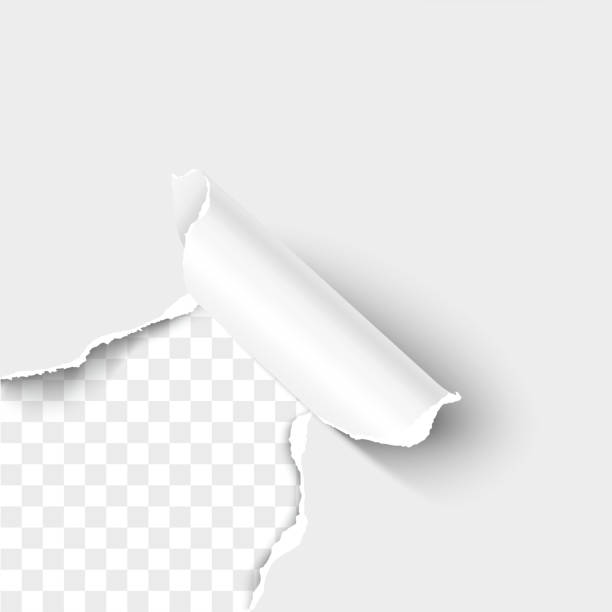 ilustrações de stock, clip art, desenhos animados e ícones de paper corner torn hole realistic vector illustration - cut or torn paper paper torn curled up