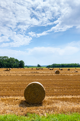 Agricultural site in Roskilde Denmark