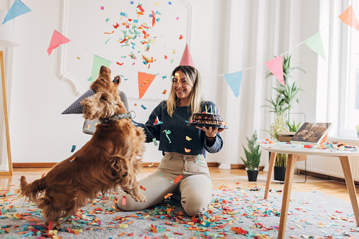 Beautiful woman celebrating her dog's birthday with her dog at home. Woman is holding a birthday cake.