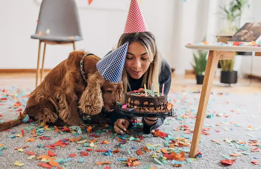 Imágenes de Pastel De Cumpleaños Para Perros | Descarga imágenes gratuitas  en Unsplash