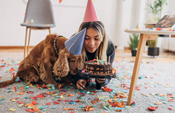 istock Dog's birthday celebration 1316068463