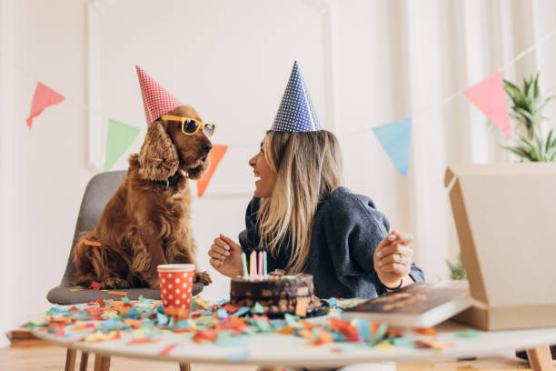 istock Dog's birthday celebration 1316068710