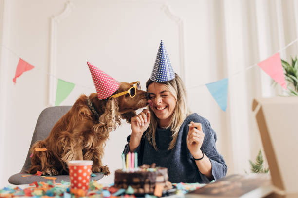 Dog's birthday party is fun Beautiful woman celebrating her dog's birthday with her dog at home. Dog is licking his best friend. woman birthday cake stock pictures, royalty-free photos & images