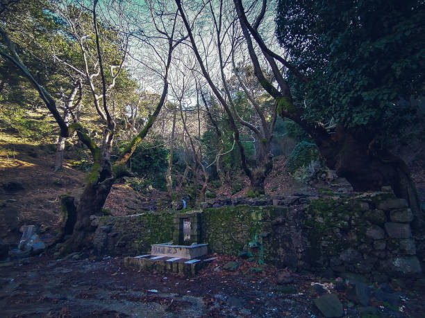 une belle vieille fontaine dans la forêt. turquie i̇zmir karagöl. effet spécial et tons de couleur dramatiques. - beautiful famous place ideas construction photos et images de collection