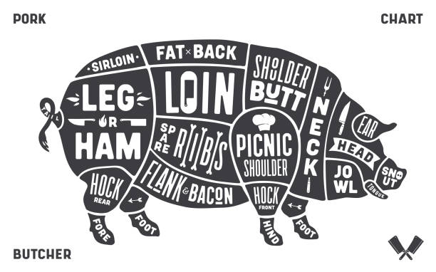 Pork, pig. Scheme, diagram, chart pork, butcher guide Pork, pig. Scheme, diagram, chart pork, butcher guide. Vintage retro print, art typography, tag, label with pig drawing, old school style. Poster pig for Butchery meat shop. Vector Illustration pork loin stock illustrations