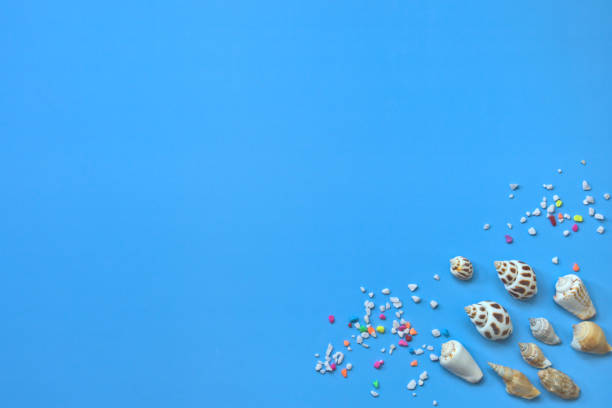 istock A corner of a blue background, various seashells, colorful pebbles, copy space 1316081678