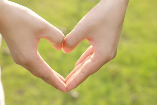 istock Two hands making a heart shape on a green background, depth of field 1316081755