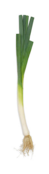 istock Three 3 fresh green leek isolated on white background 1316084536