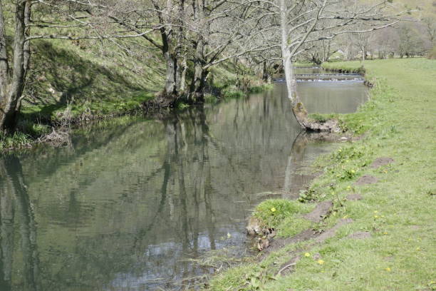istock Landscape in the Peak District 1316084553