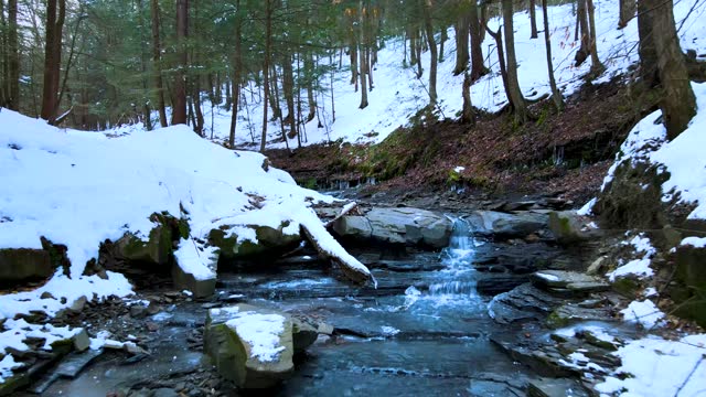 Fly Up a Snowy Stream in Winter