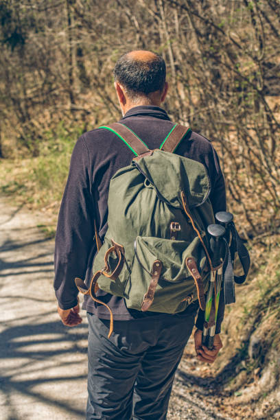 istock Man hikes along path through woodland in spring 1316089897