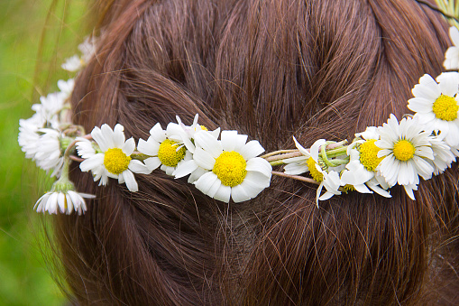 Pretty young woman holding little daisy flowers on head like crown