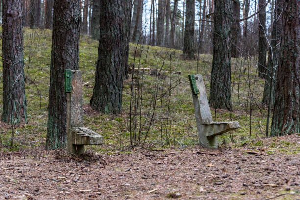 istock Ruins of a Park Bench from Soviet Period in a Latvia Forest 1316092925