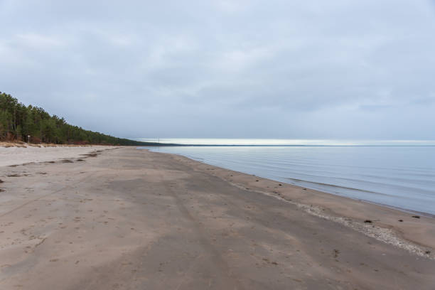 istock Beach on the Baltic Sea in Latvia 1316093879