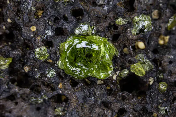 Closeup of raw Peridot gemstone, attached to original volcanic host rock. Smaller specimens surrounding. From Hawaii.