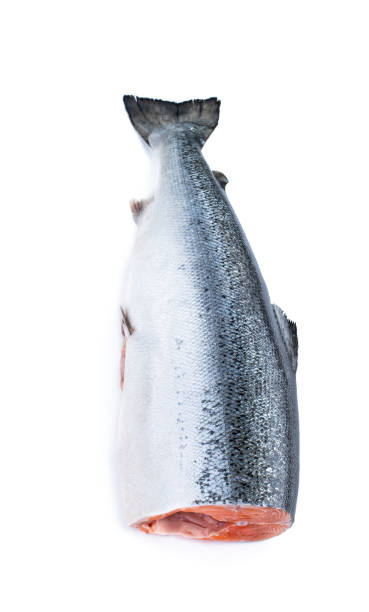 istock Raw headless salmon fish isolated on white background 1316095811