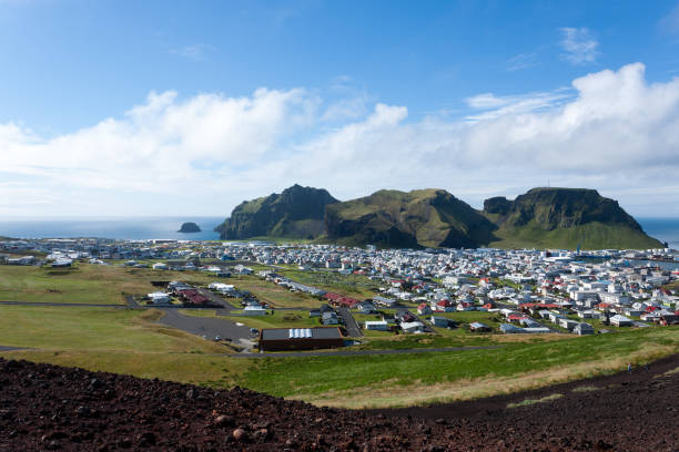 istock Heimaey town aerial view from Eldfell volcano. 1316096174
