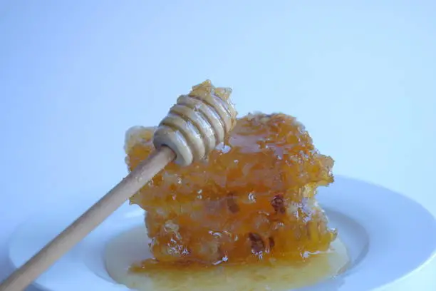 honeycomb cut with a knife. Thick Honey Dripping Down Honeycomb