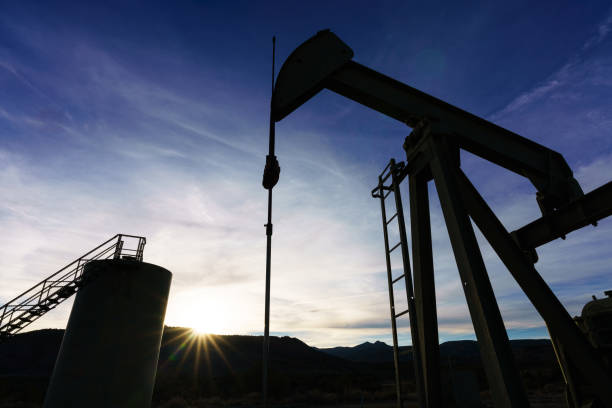 istock Pumpjack in Oil Field 1316096513