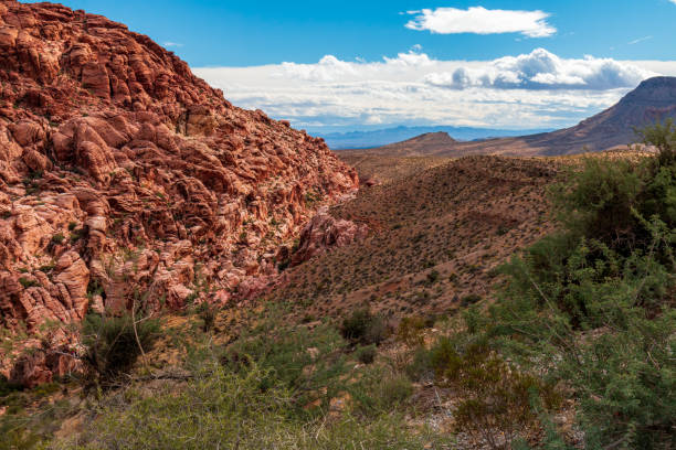istock Calico Hills Red Rock Canyon 1316096834