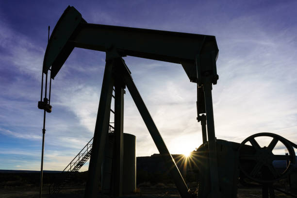istock Pumpjack in Oil Field 1316096876