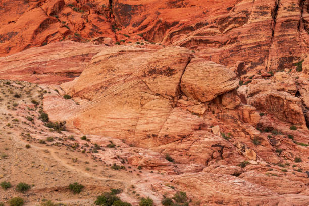 istock Calico Hills Red Rock Canyon 1316096937
