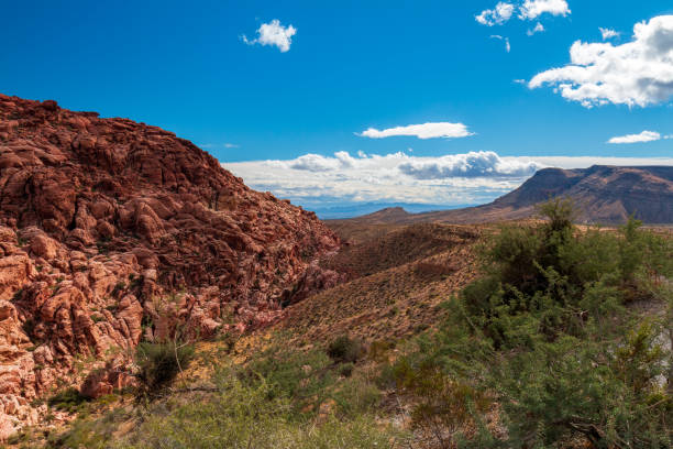 istock Calico Hills Red Rock Canyon 1316097518