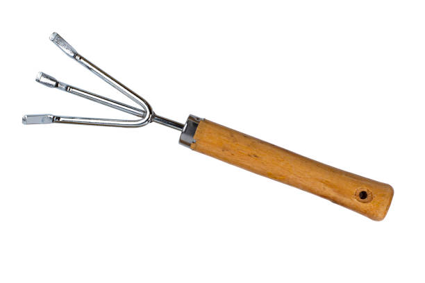 istock Garden rake for home gardening on white isolated. 1316098346