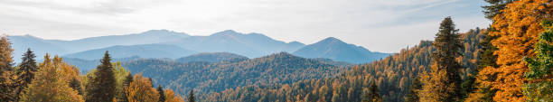 istock Panoramic view with a beautiful Caucasus mountain landscape 1316098568