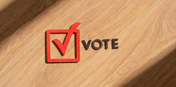 istock abstract checkbox vote sign, creative icon frame and letters, democracy concept 1316102342