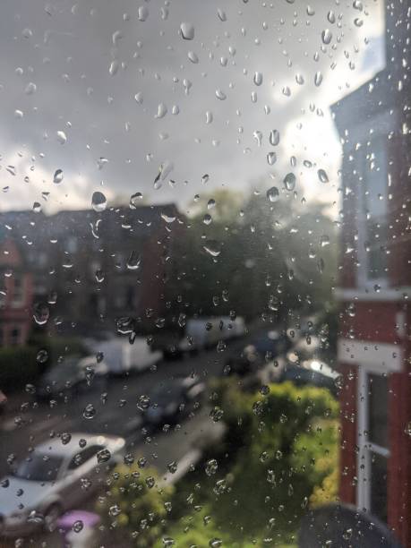istock Sunshine on a Rainy Day 1316104108