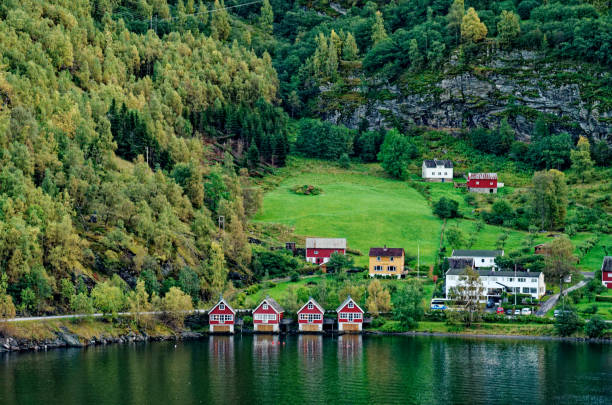 vue scénique du village de flam- norvège - flam aurlandsfjord sognefjord fjord photos et images de collection