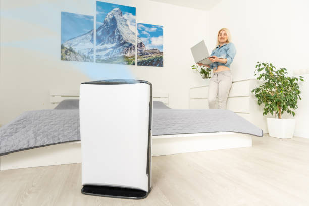 istock Modern air humidifier and blurred woman resting on background 1316109132