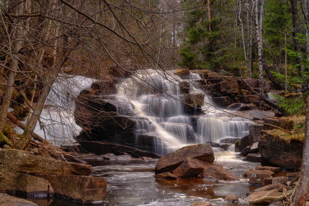 istock Cascade waterfall in the middle of the Norwegian forest 1316109838