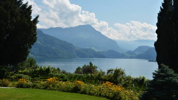istock Zurich Switzerland 1316110009