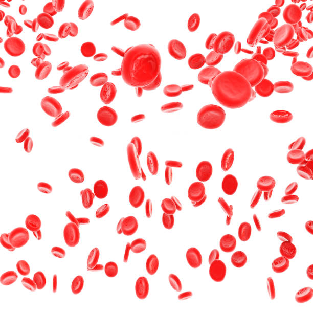 istock 3d rendering of Red blood cells isolated on white 1316111907
