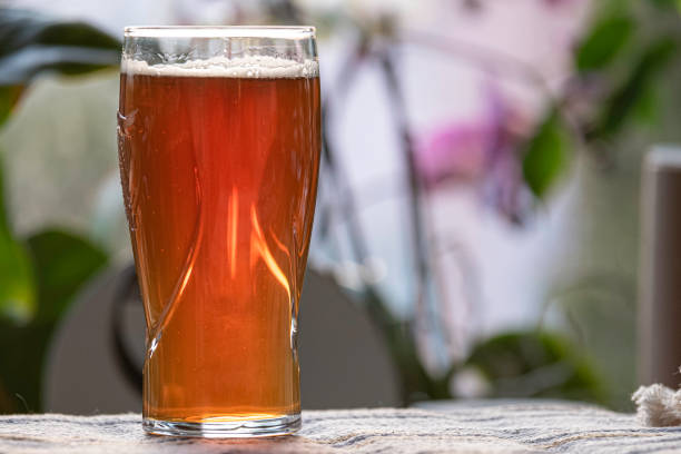istock Delicious Beer in Glass 1316114351