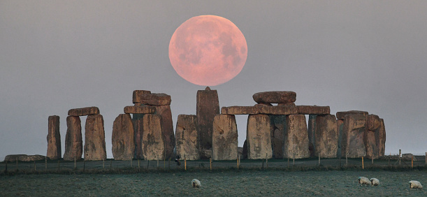 A Pink Super Full moon rises  over the ancient stone circle of Stonehenge in Wiltshire, UK as sheep graze in adjacent fields
No manipulation - real image as seen