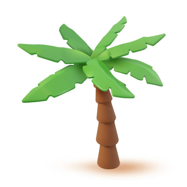 3d Vector Tropical palm cartoon illustration. Tropic jungle realistic plant isolated on white. Minimal summertime palmtree object render design 3d Vector Tropical palm cartoon illustration. Tropic jungle realistic plant isolated on white. Minimal summertime palmtree object render design palm tree cartoon stock illustrations